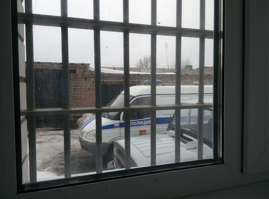 Фигуранты дела видят небо в клетку