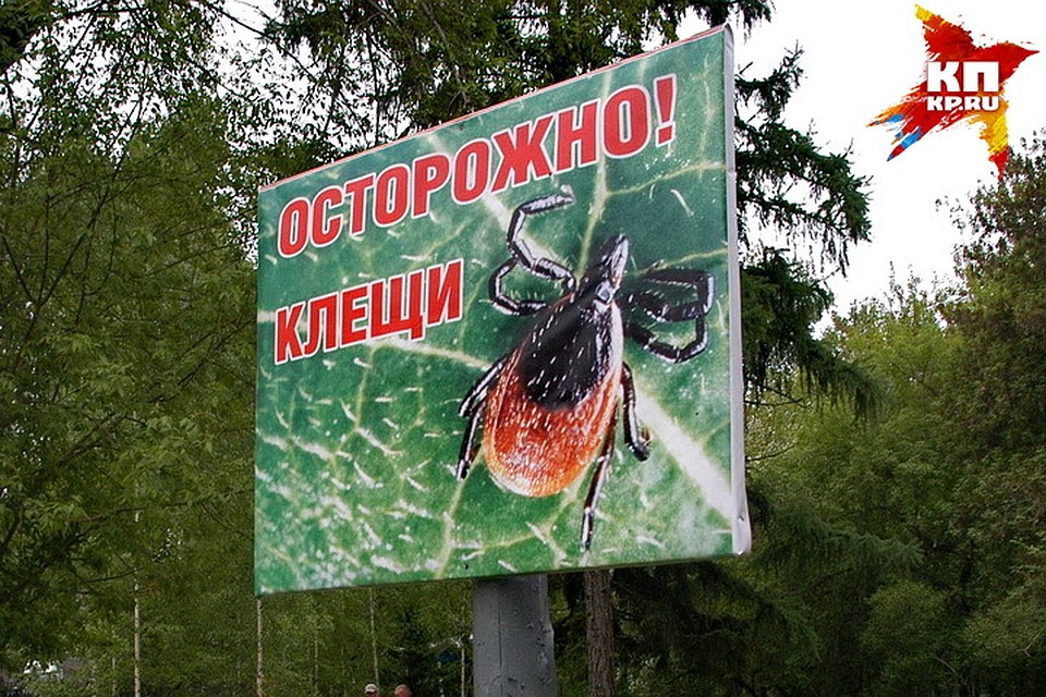 Глисты во время лактации чем лечить