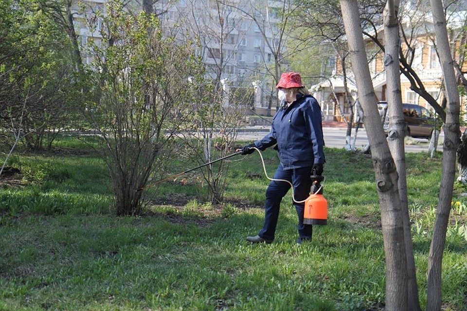 Не менее 400 людей пострадали в ЕАО от укусов клещей
