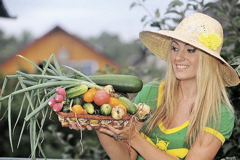 Получаем богатый урожай!