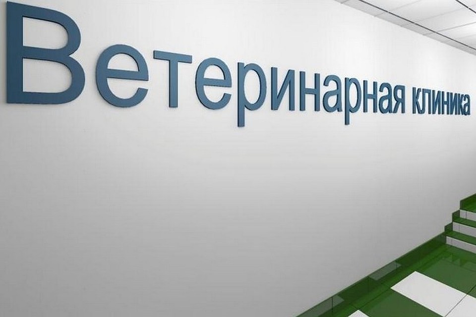 Фото: пресс-служба КемГУ