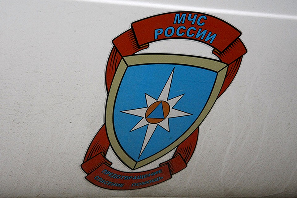 Спасатели просят не разводить костры под деревьями