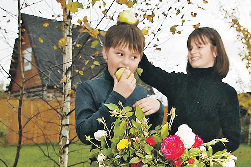 Яблоки хоть на голову кладите, главное - на земле не оставляйте!