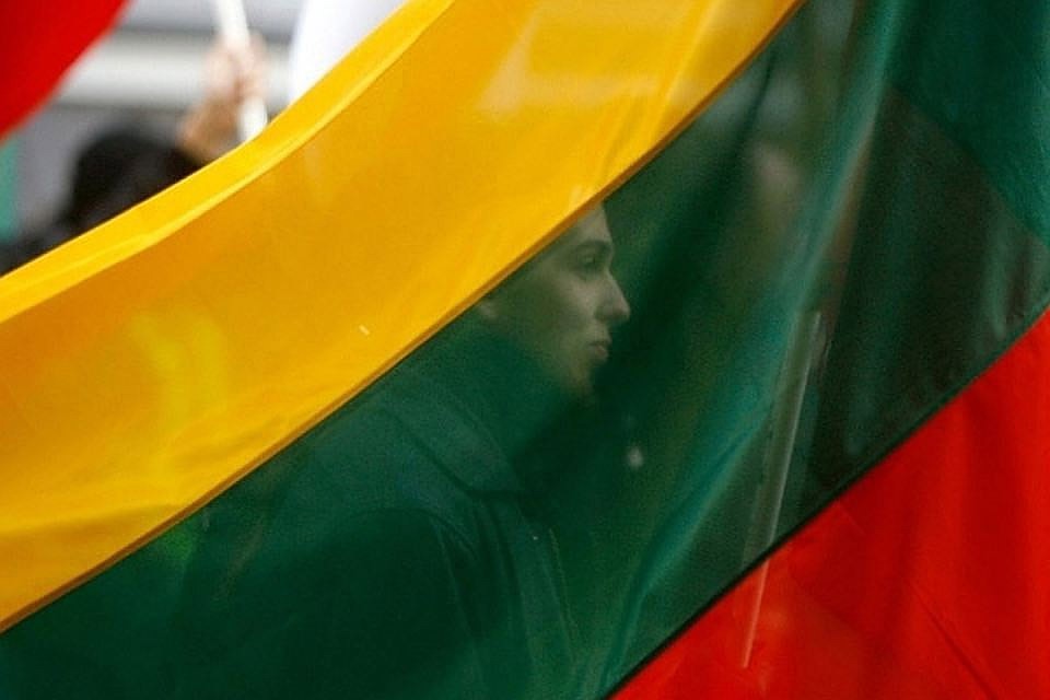 В Литве референдум о двойном гражданстве Сейм мог бы объявить вместе с выборами президента. Фото: с сайта iPress.ua