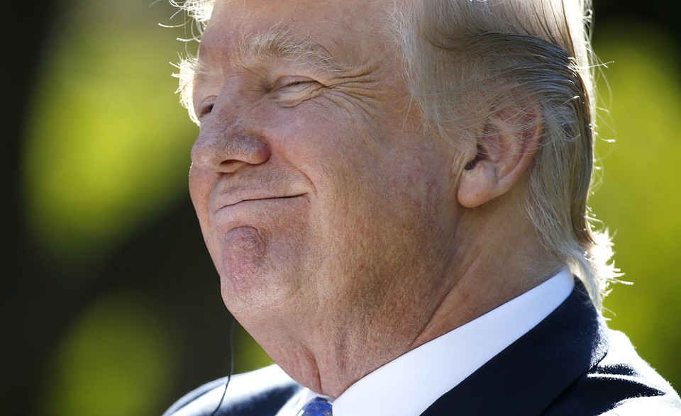 Это уже не первая продажа эскизных работ за авторством Трампа