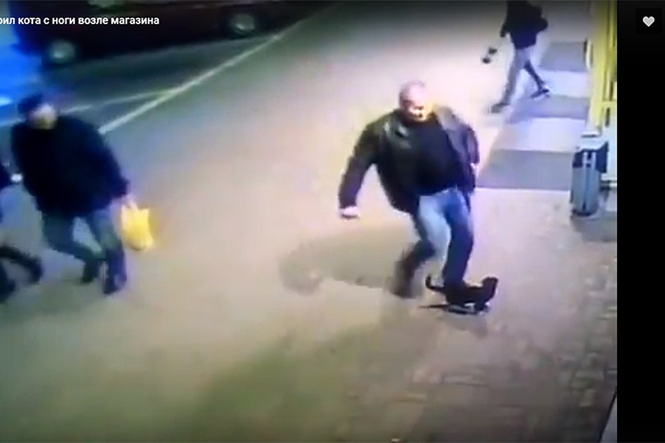 Белорусского милиционера сократили за пинок котенка Белорусского милиционера сократили за пинок котенка