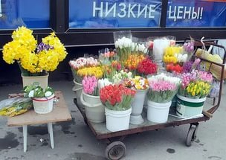 На Дону почти весенняя погода. Фото: ГОПАЛО Ольга.