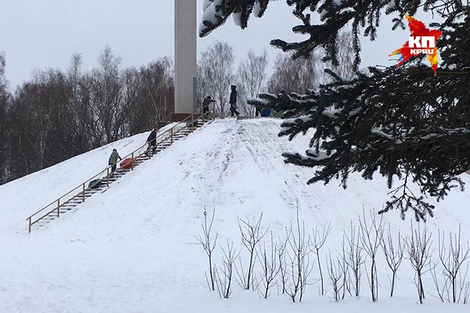 В смоленском парке ломают «Сирень Победы».