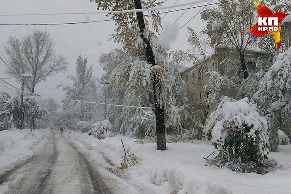 Так было в апреле прошлого года.