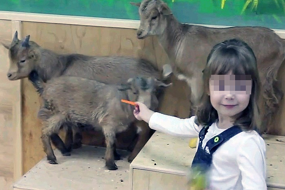 Контактный зоопарк открылся в "Зимней вишне" в 2015 году.