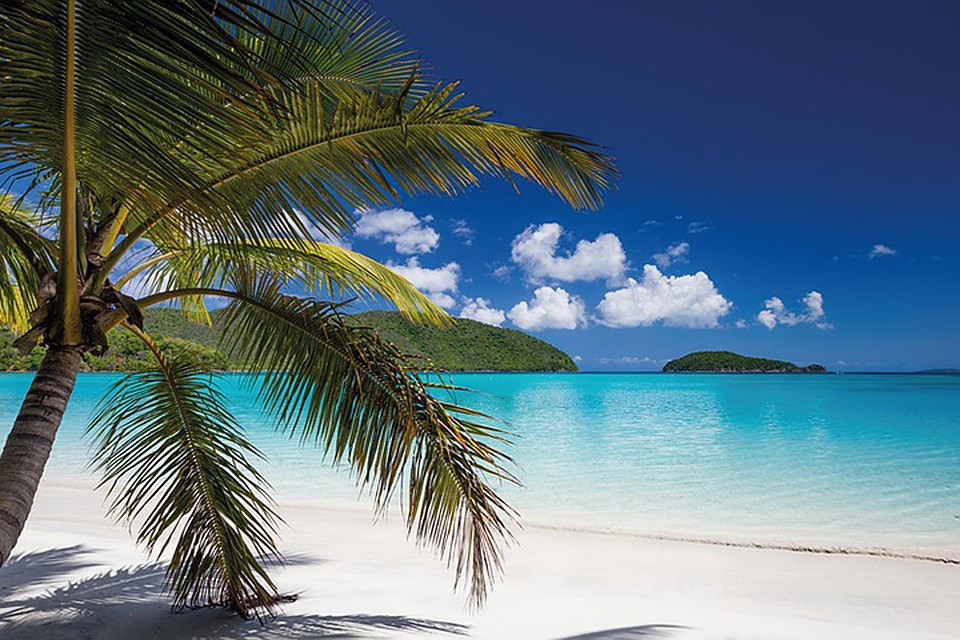 Фото: pixabay.com