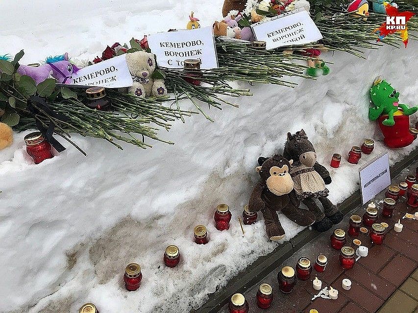 Плюшевые друзья ждут своих маленьких хозяев.