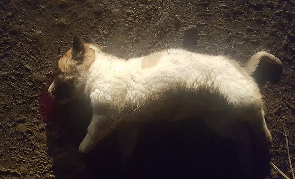 Фото: "Горячий Ключ life"