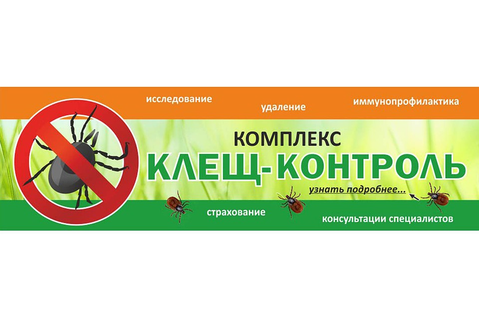 Фото: «Лайт»
