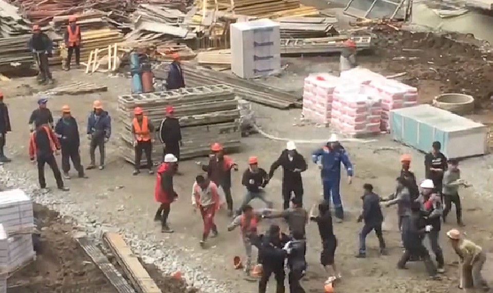 Фото: скриншот из видео с дракой