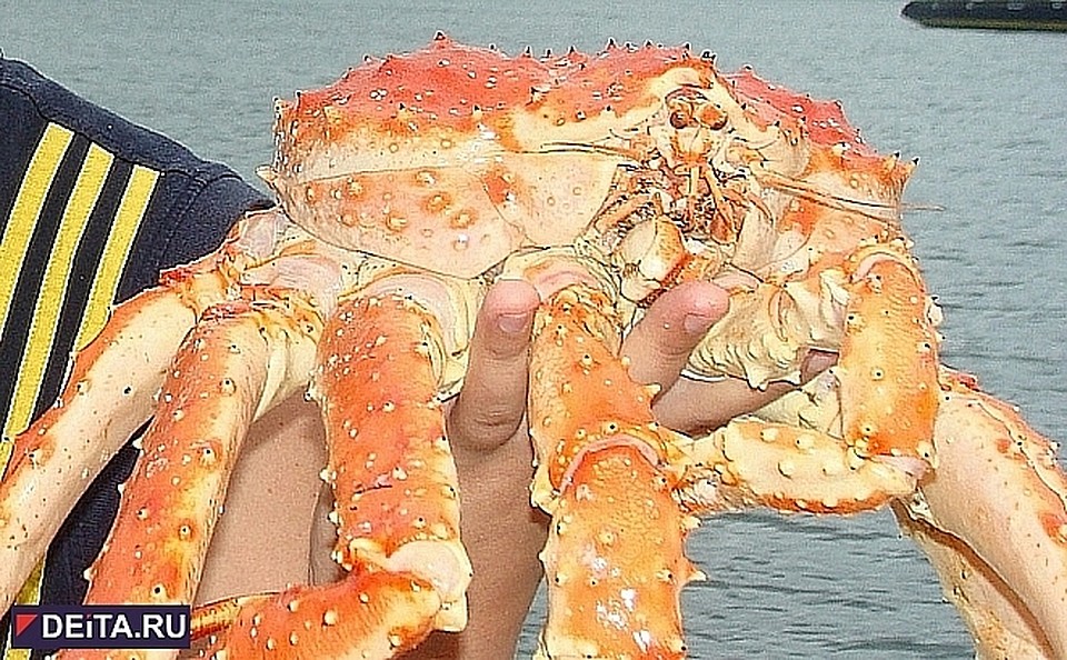 фото из архива
