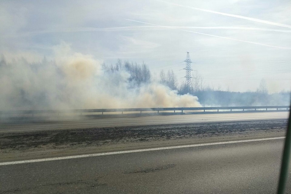 Трава горит под Нижним Новгородом