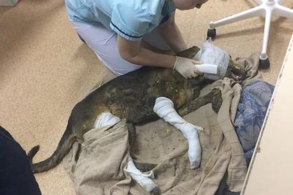 фото: из личного архива
