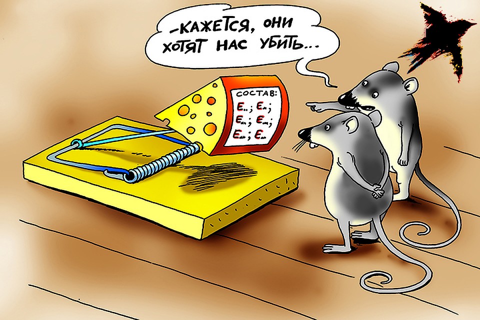 В основном нарушения нашли в молоке, сметане, твороге и сыре.