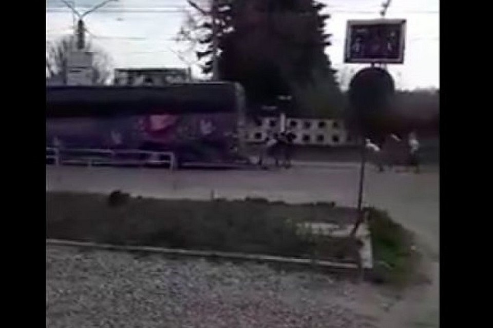 Фото: скриншот видео
