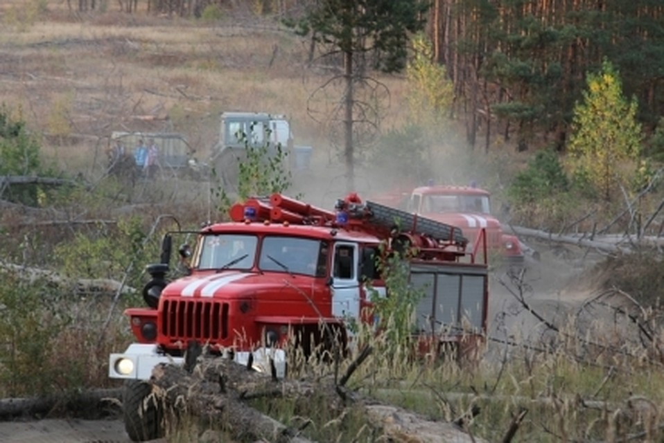 Фото ГУ МЧС по Воронежской области