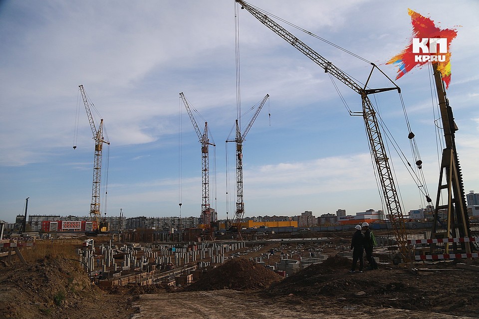 Мэрия Красноярская разрешила вырубить лес, чтобы построить высотки