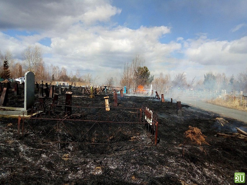 Огонь затронул несколько могил. Фото: kurgan.ru