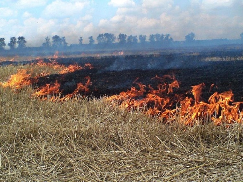 В Тамбовской области опасаются пожаров.