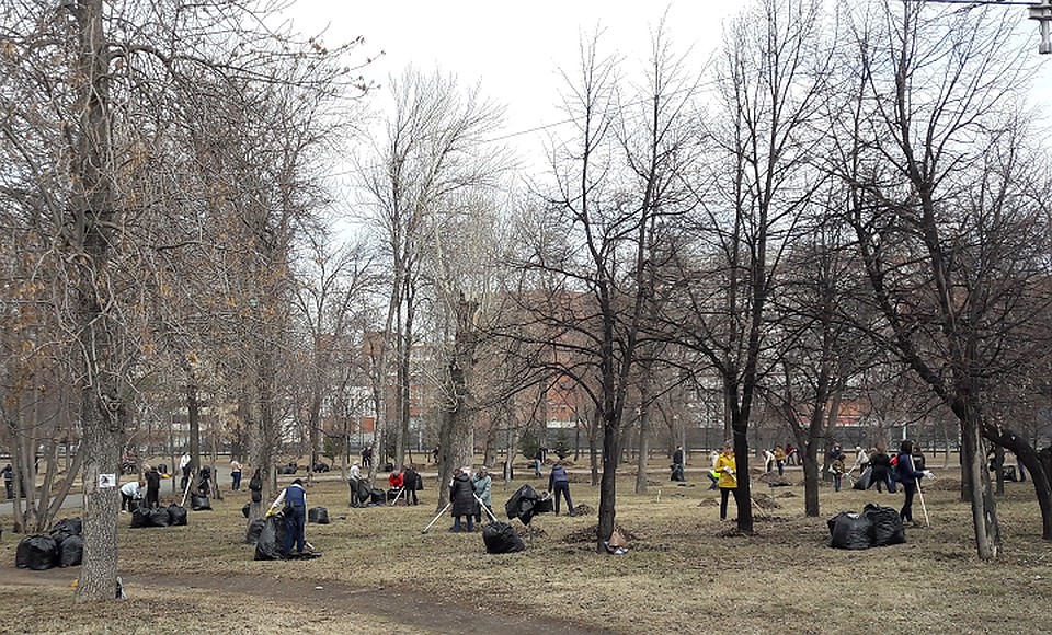 В парке Алое поле наводила чистоту молодежь. Фото: Любовь СЛАВИНА.