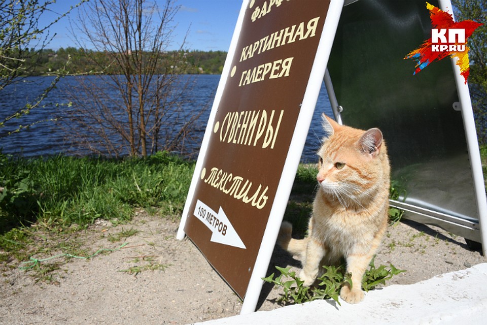 В Омске планируют убрать около 200 рекламных конструкций.
