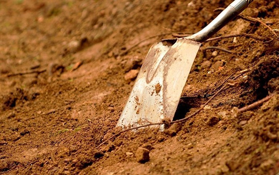 Фото: 1tulatv.ru