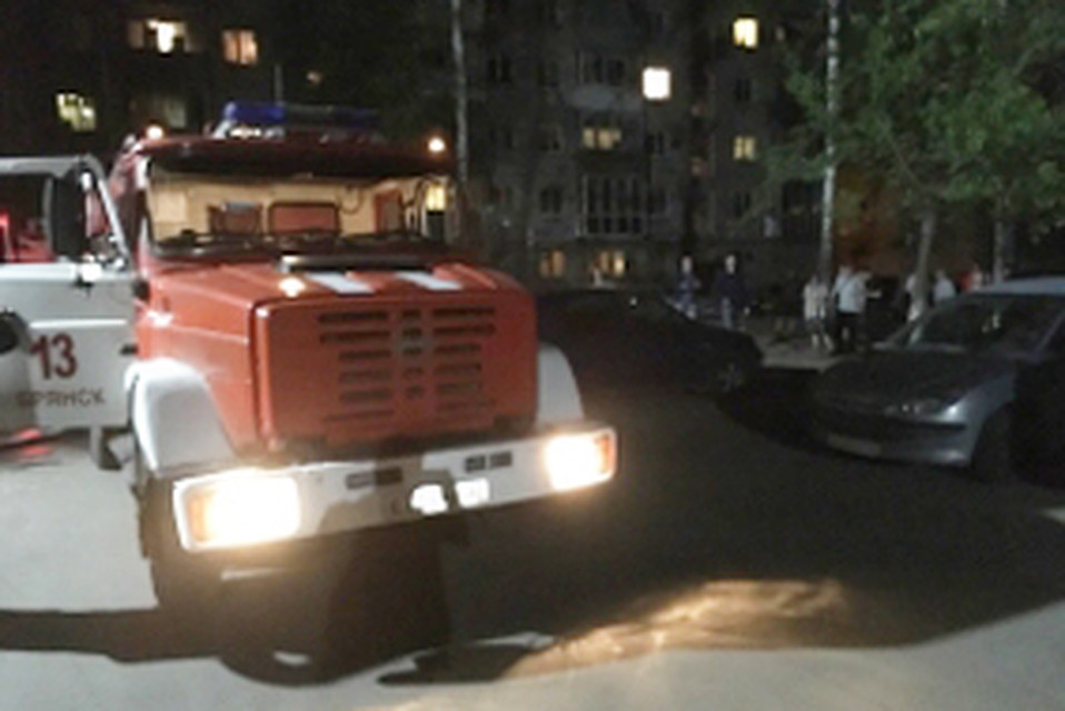 Фото: пресс-служба ГУ МЧС России по Брянской области.
