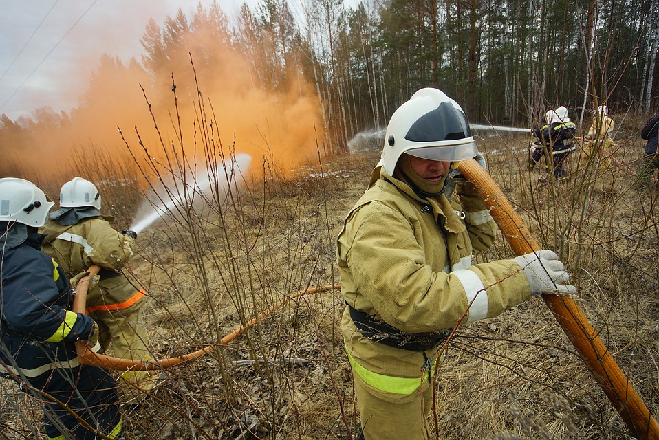 За 10 мая в Псковской области выгорело 0,39 гектаров леса.