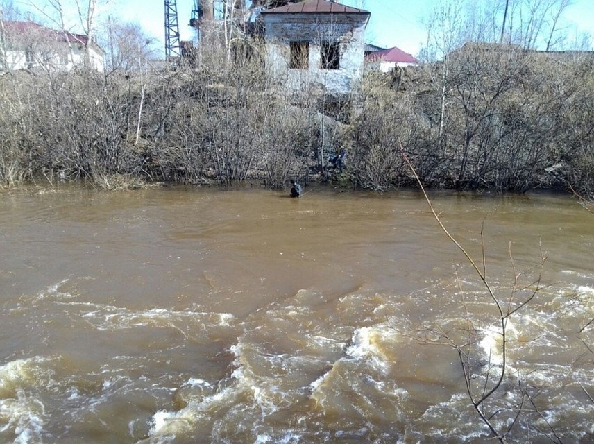 Фото: ГУ МЧС по Свердловской области