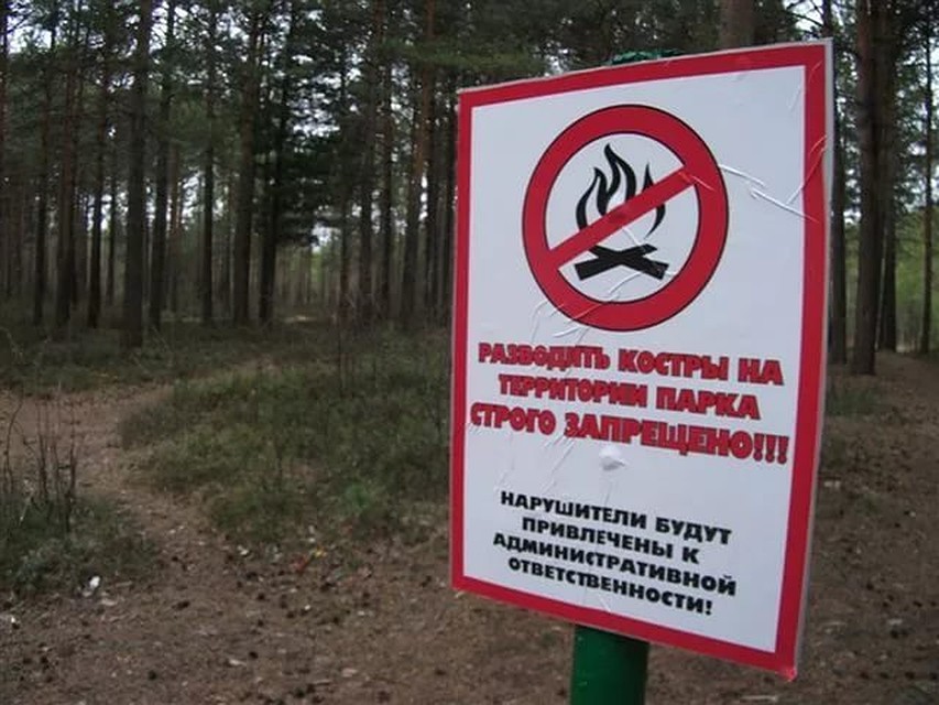 Фото: облкомприроды.