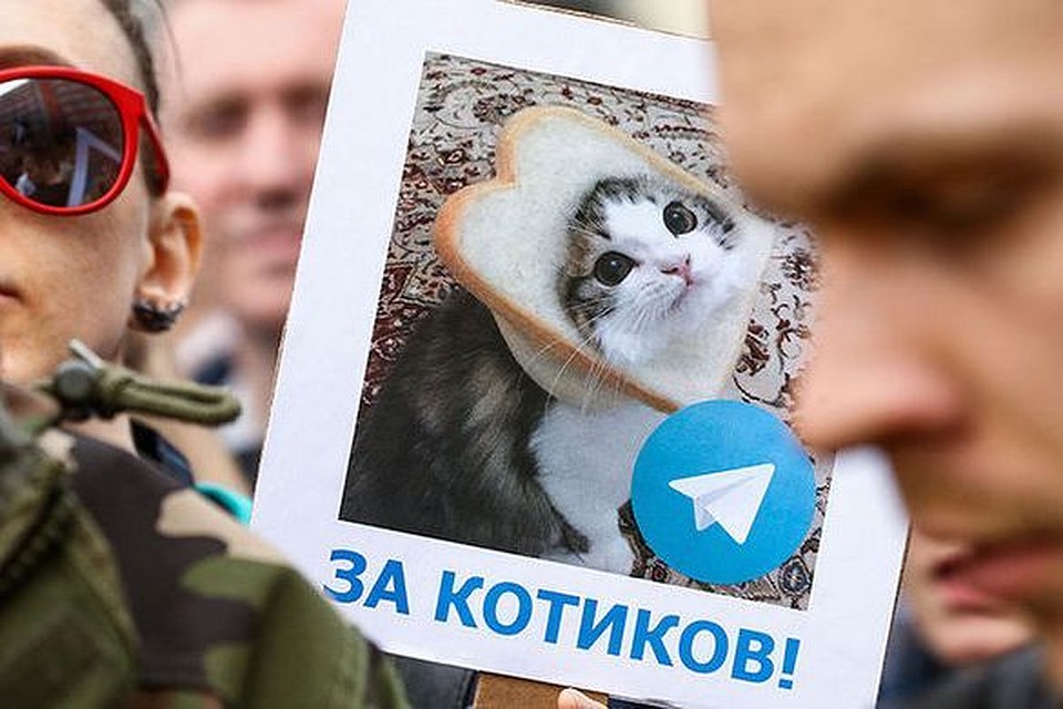 Фото: Михаил Терещенко/ТАСС