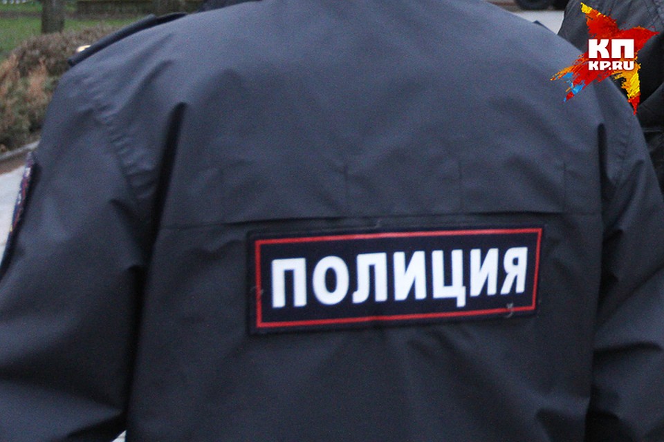 Во время разбирательства, подсудимый признал себя виновным.