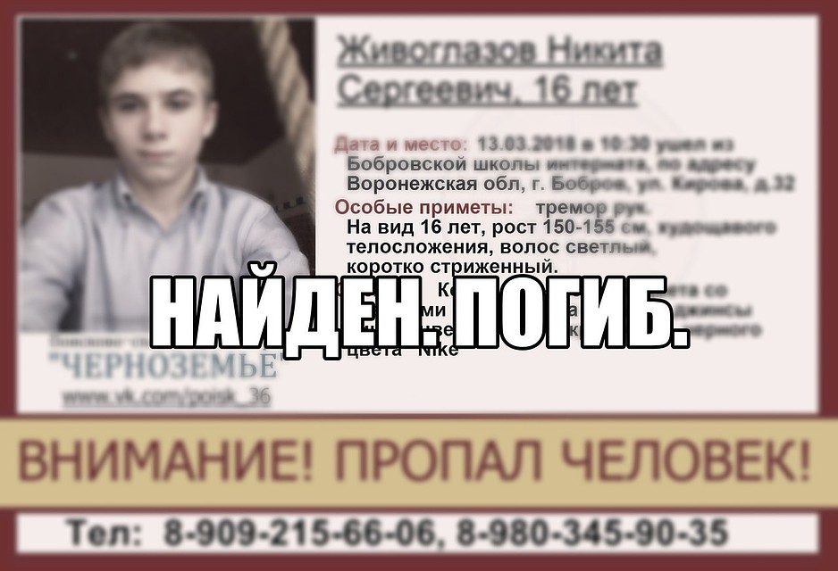 Волонтеры объявили о неутешительном окончании поисков