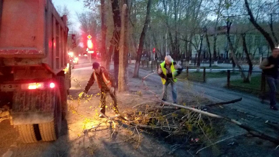 Последствия урагана в Тюмени начали убирать сразу после стихии. Фото администрации Тюмени