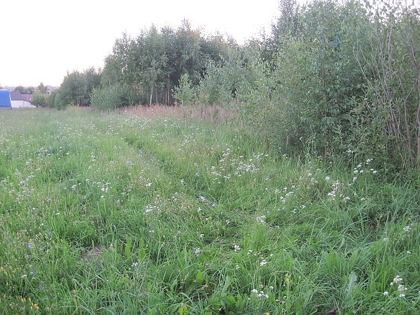Фото с места преступления