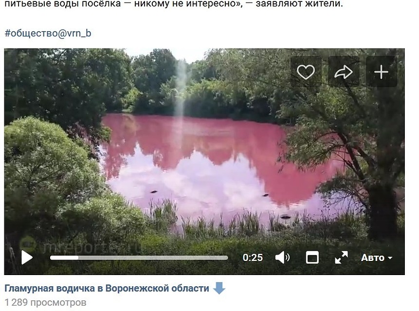 Скриншот поста в "Настоящем Воронеже"