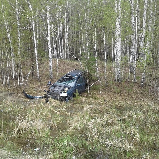 Фото: соцсети