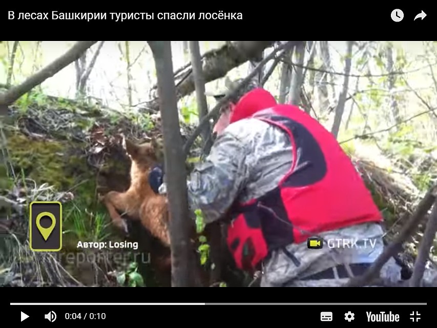 Фото: скрин видео от ГТРК "Башкортостан"