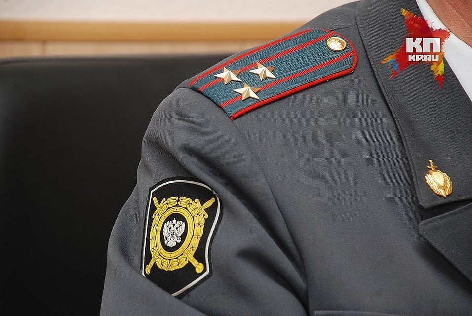 На мужчину завели уголовное дело по статье «Незаконная рубка лесных насаждений».