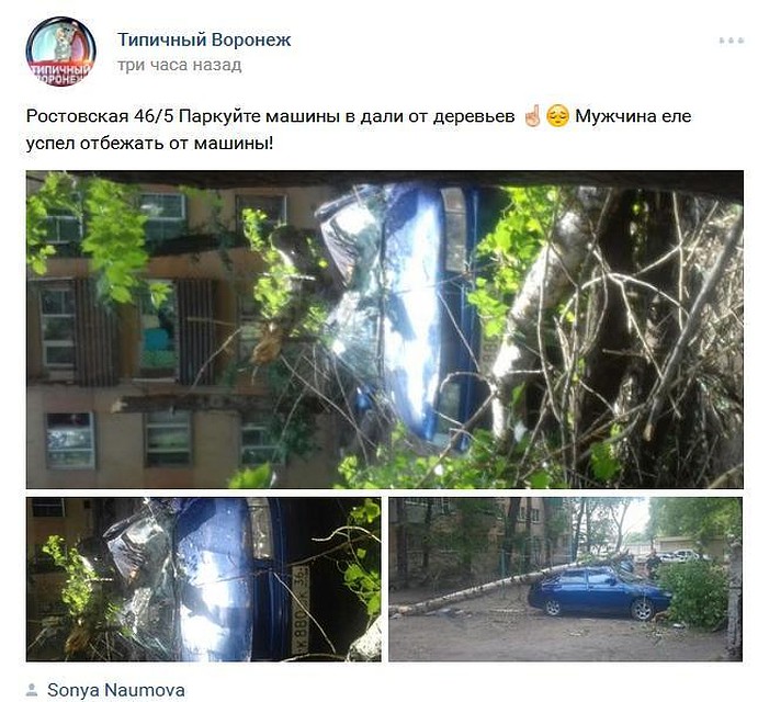 Скриншот поста в "Типичном Воронеже"