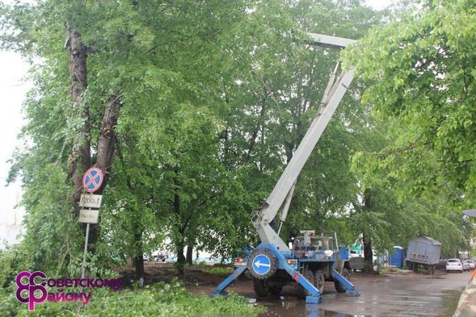 В Уфе продолжают сносить старые и больные деревья