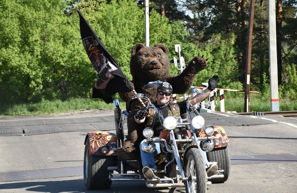 Дед Медвед