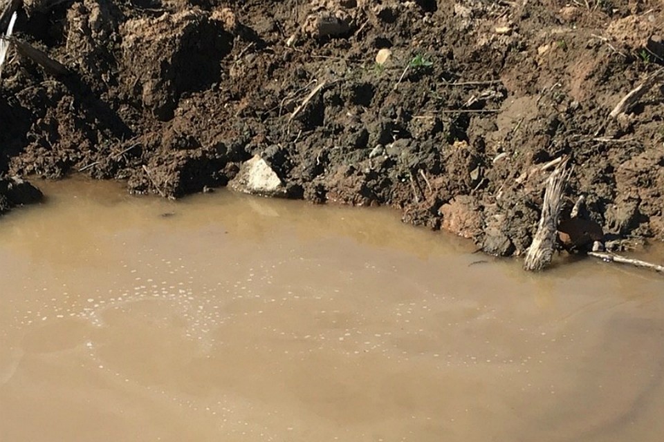 Мутная вода попадала в нору из-за аварии на коммуникациях.