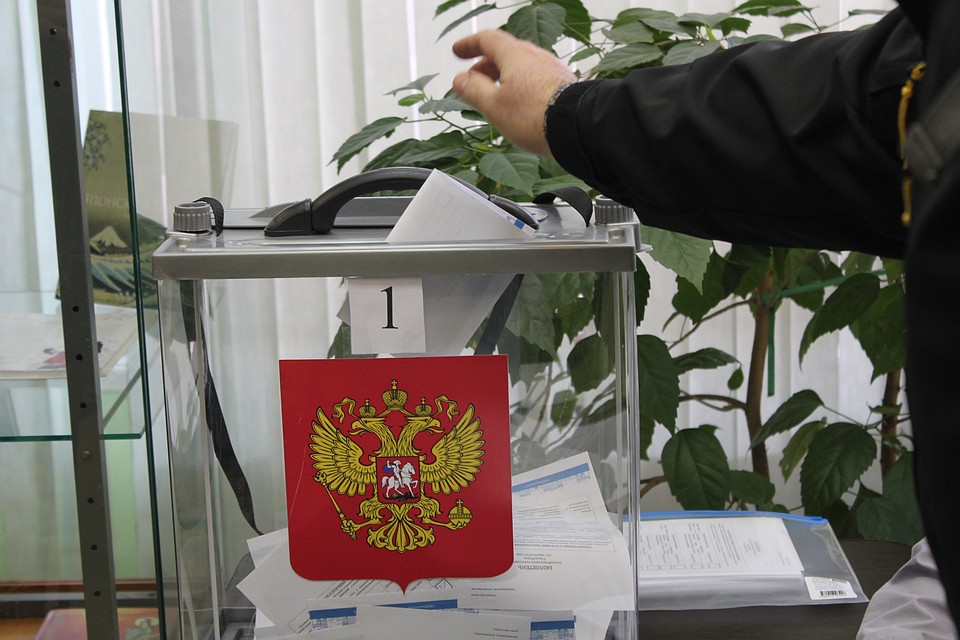 17 июня работать будут 7 счетных участков: в деревне Родина, в Карамышево, Неелово, Тямше, Середке, Соловьях, Писковичах.