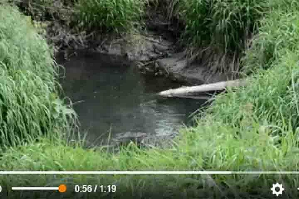 ФОТО: скриншот с видео группы "Наше Сафоново"